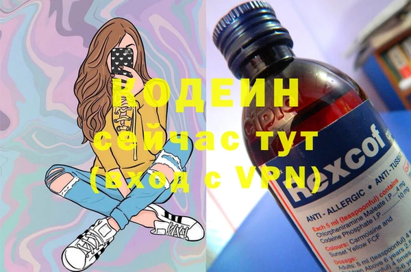 шишки Ессентукская