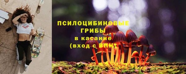 шишки Ессентукская